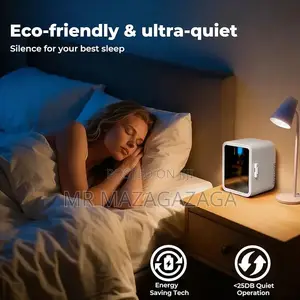 Home 220v ,Car DC 12V Mini Fridge With Makeup Mirror Led Light