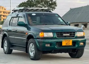 Isuzu VehiCross 2001 Green