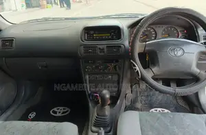 Toyota Carib 2000 Silver