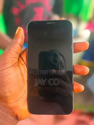 Apple iPhone 12 Pro Max 256 GB