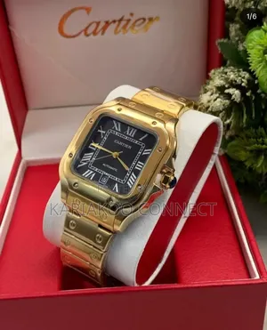 Silver and Navy Gold Santos De Cartier