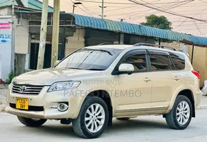 Toyota Vanguard 2010 Beige