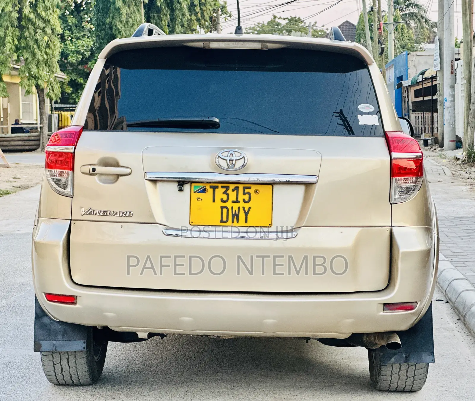 Toyota Vanguard 2010 Beige