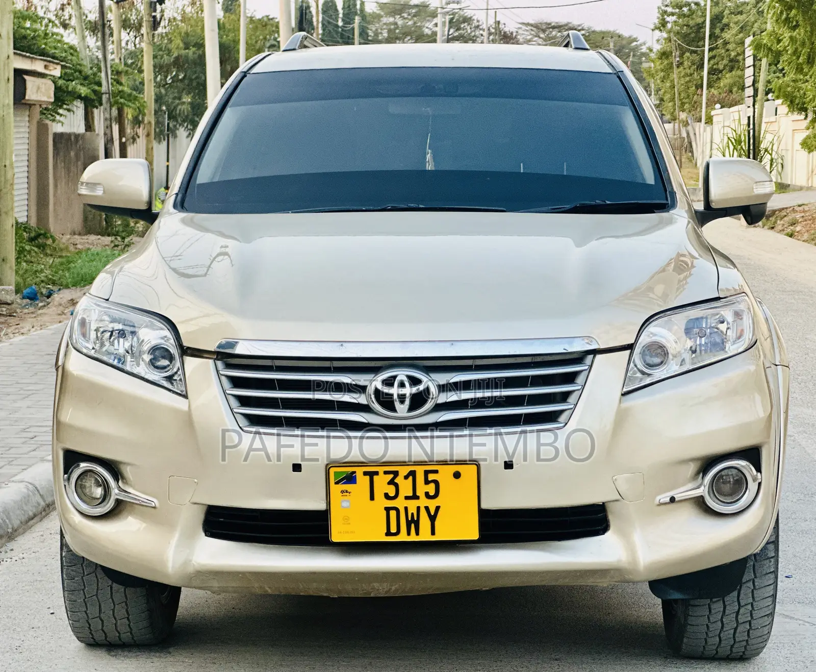 Toyota Vanguard 2010 Beige