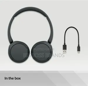 Original Sony Headphone