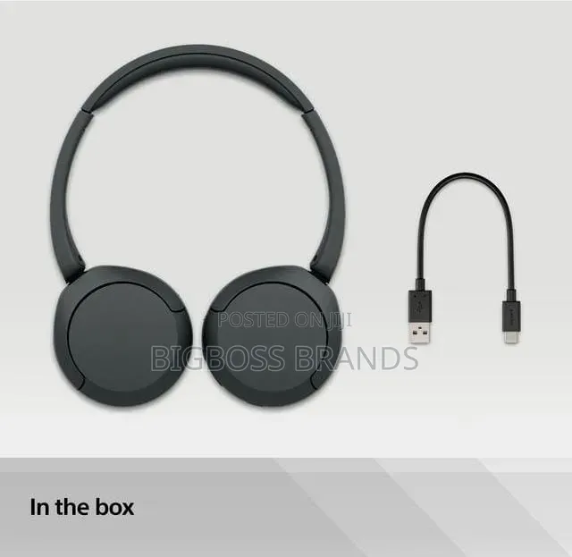 Original Sony Headphone