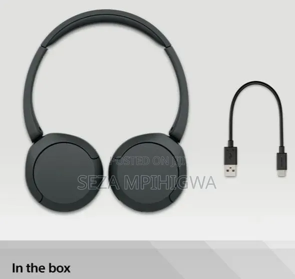 Sony WH-CH520 Wireless Bluetooth Headphones