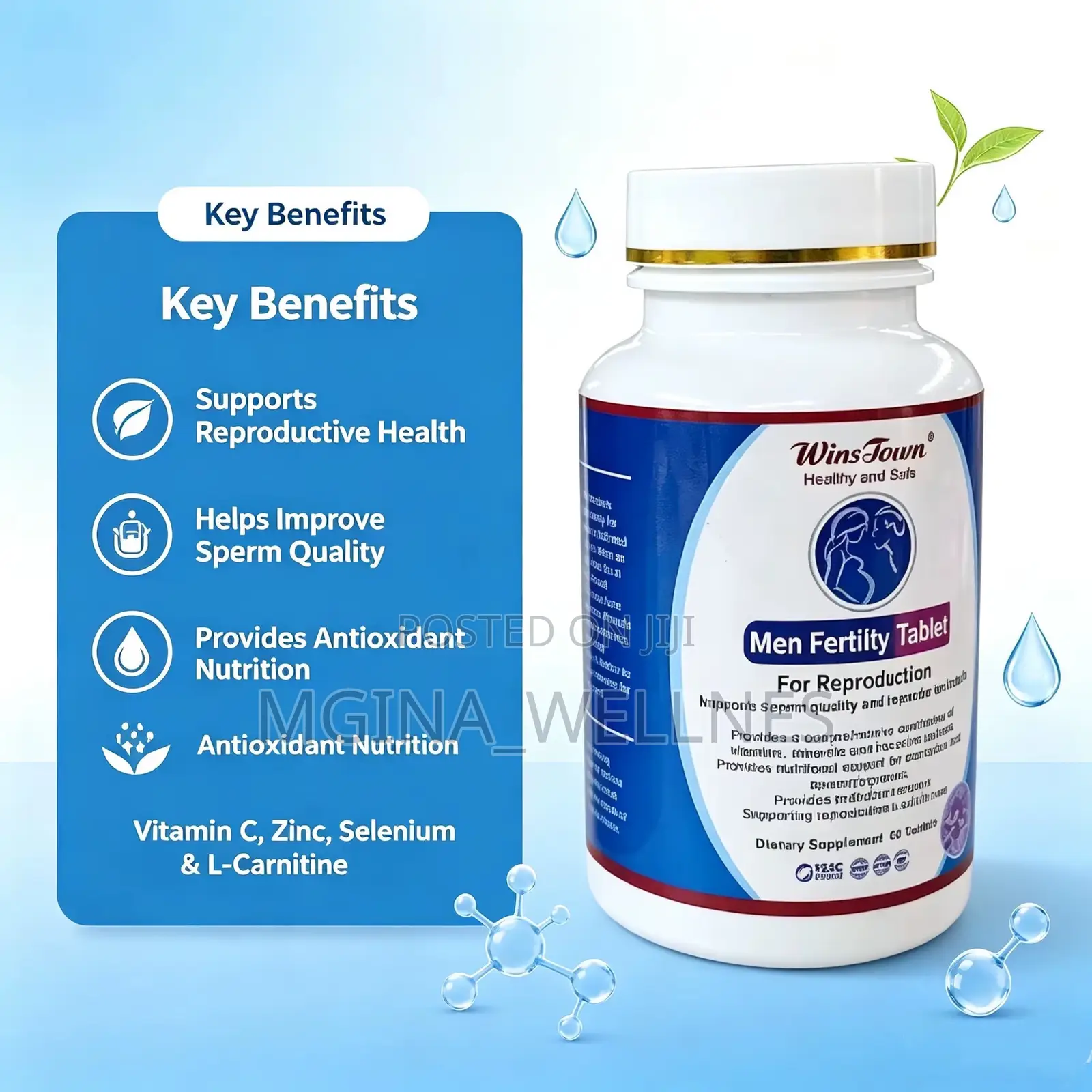 Male Fertility Supplements for Men Fertility