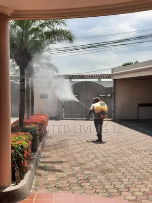 Huduma Ya Fumigation Dar | Tokomeza McHwa, Mende Mbu! 