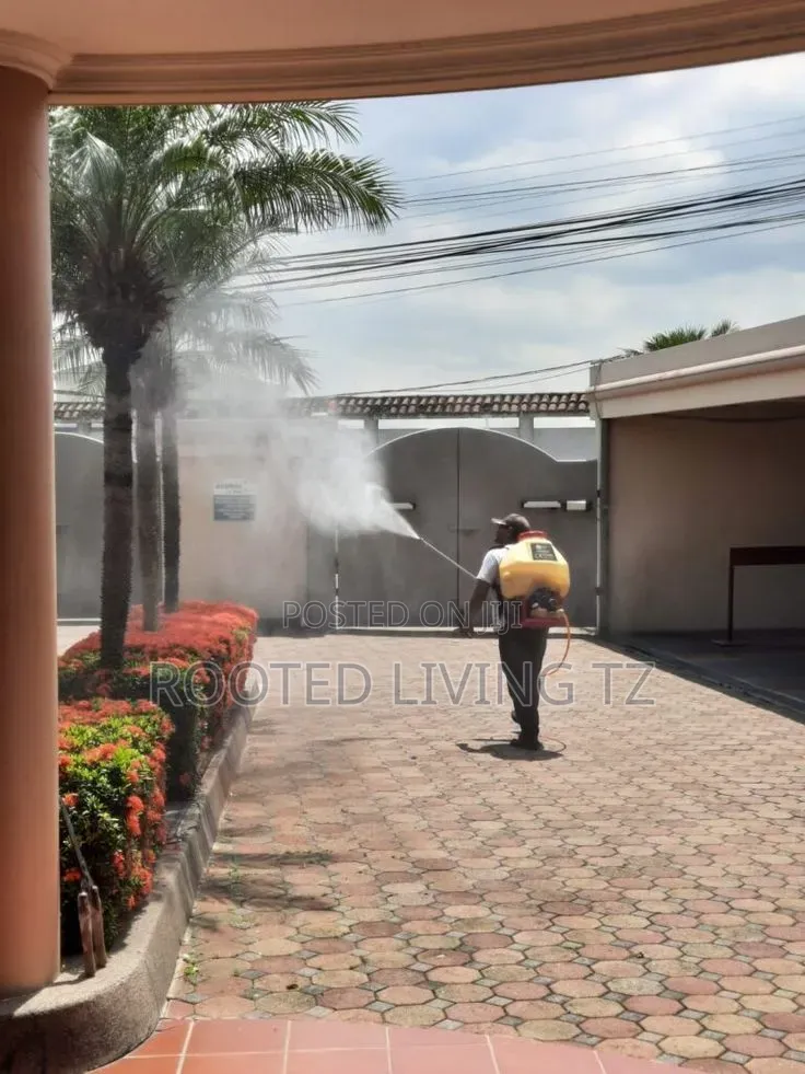 Huduma Ya Fumigation Dar | Tokomeza McHwa, Mende Mbu! 