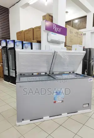 Roch Chest Freezer