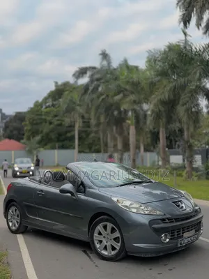 Peugeot 207 2007 Gray