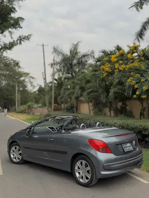 Peugeot 207 2007 Gray