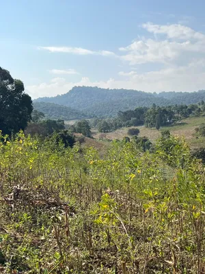 11Acres With Stunning Forest View for Sale in Rhotia-Marera, Karatu*