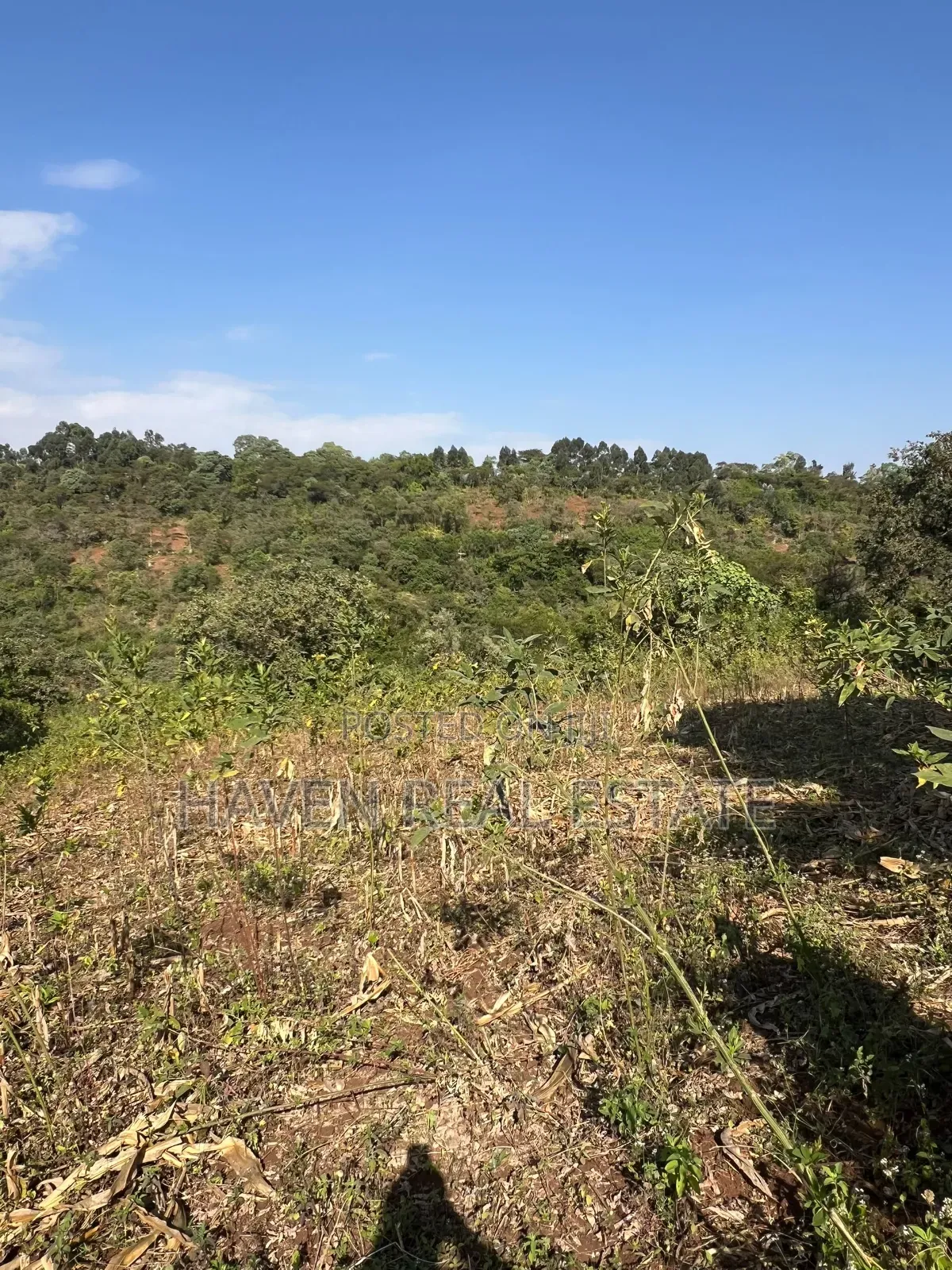 11Acres With Stunning Forest View for Sale in Rhotia-Marera, Karatu*