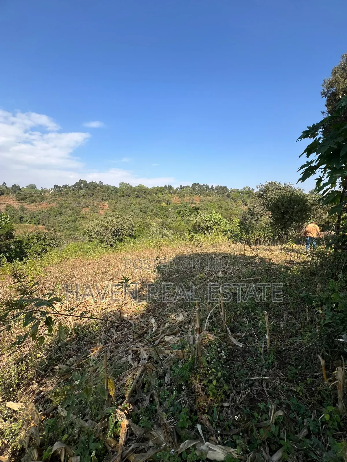 11Acres With Stunning Forest View for Sale in Rhotia-Marera, Karatu*