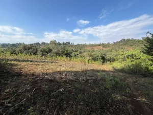11Acres With Stunning Forest View for Sale in Rhotia-Marera, Karatu*