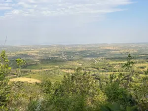 Rare Investment 3-Acre Panoramic View Plot in Kilimatembo, Karatu