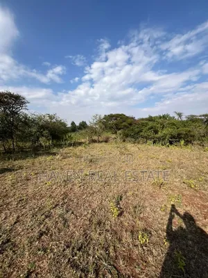 Rare Investment 3-Acre Panoramic View Plot in Kilimatembo, Karatu