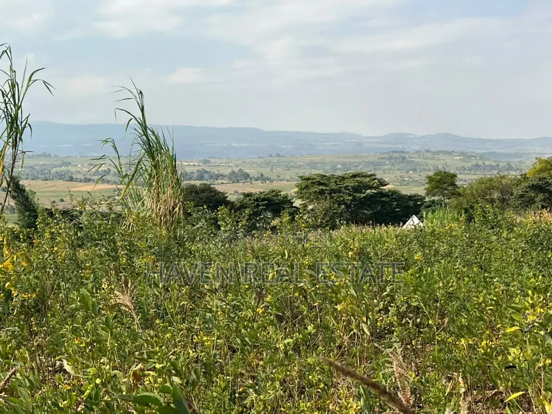 Rare Investment 3-Acre Panoramic View Plot in Kilimatembo, Karatu