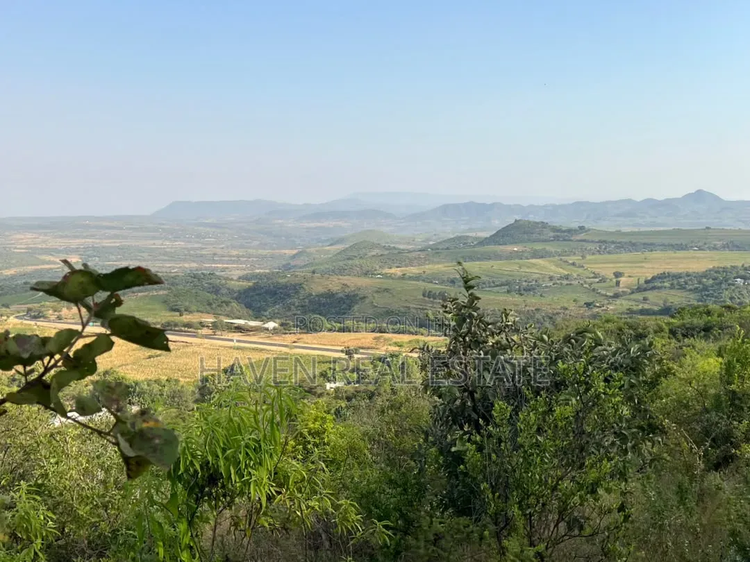 Rare Investment 3-Acre Panoramic View Plot in Kilimatembo, Karatu