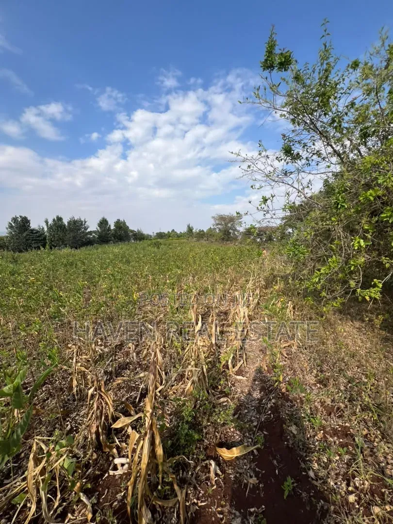 Rare Investment 3-Acre Panoramic View Plot in Kilimatembo, Karatu