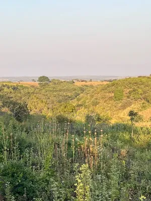 5 Acres With Lake Manyara Manyara Airport View for Sale in Karatu*