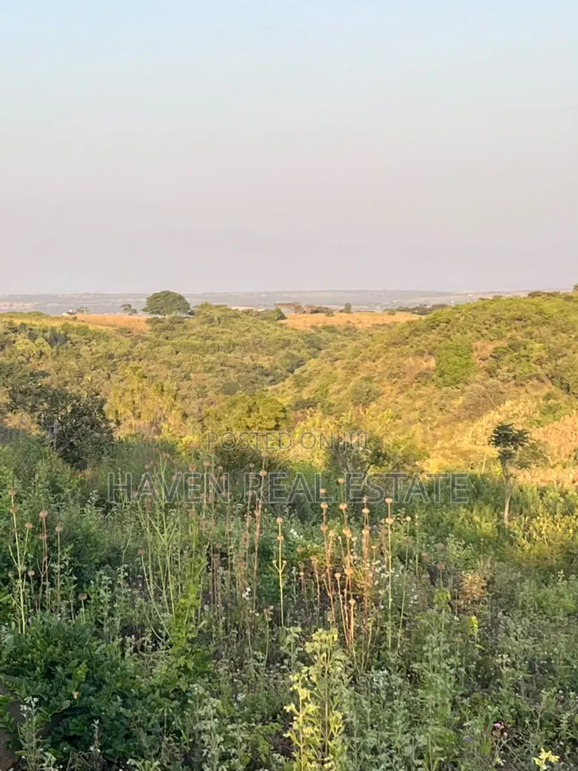 5 Acres With Lake Manyara Manyara Airport View for Sale in Karatu*