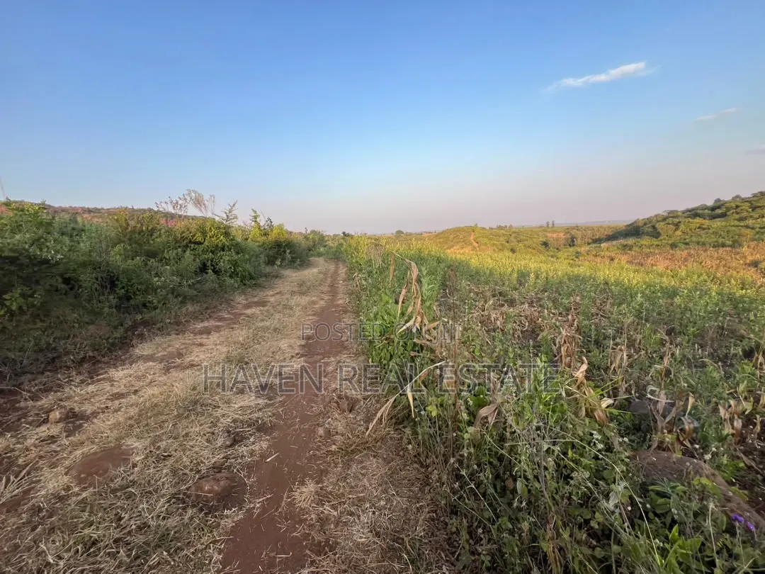 5 Acres With Lake Manyara Manyara Airport View for Sale in Karatu*