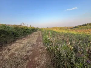 5 Acres With Lake Manyara Manyara Airport View for Sale in Karatu*
