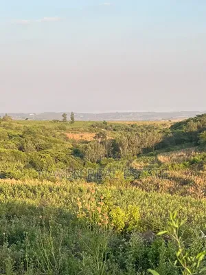 5 Acres With Lake Manyara Manyara Airport View for Sale in Karatu*