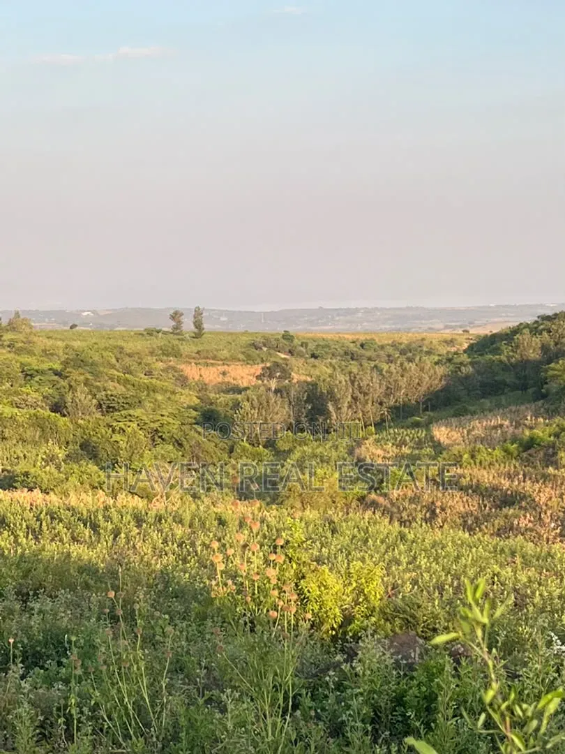 5 Acres With Lake Manyara Manyara Airport View for Sale in Karatu*