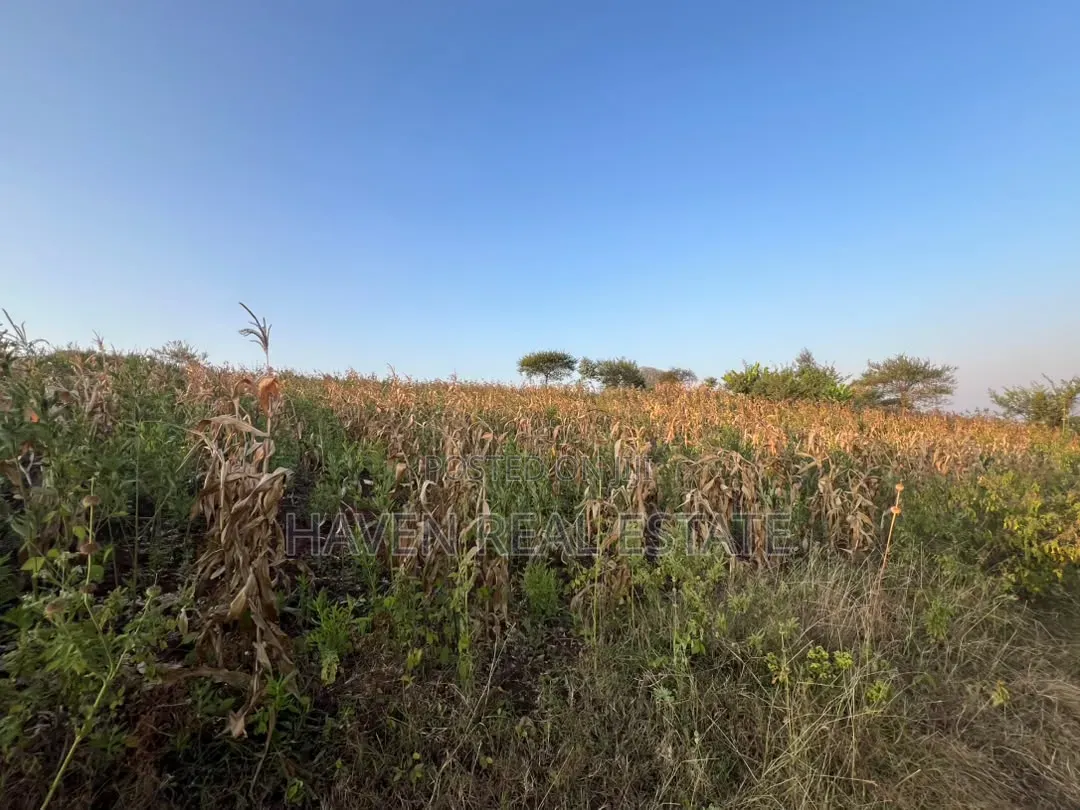 5 Acres With Lake Manyara Manyara Airport View for Sale in Karatu*