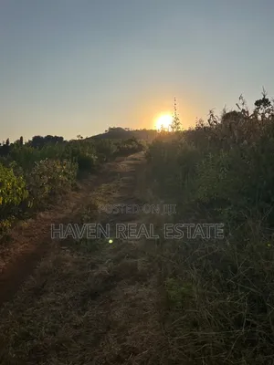 5 Acres With Lake Manyara Manyara Airport View for Sale in Karatu*