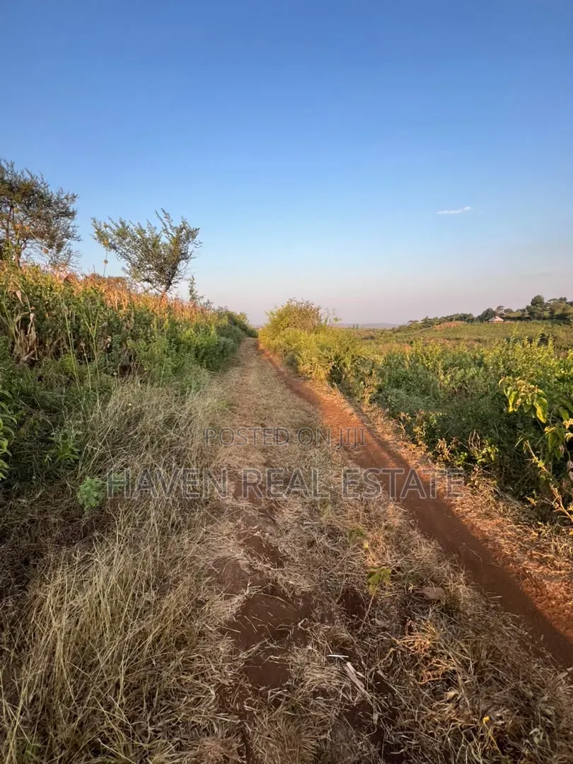 5 Acres With Lake Manyara Manyara Airport View for Sale in Karatu*