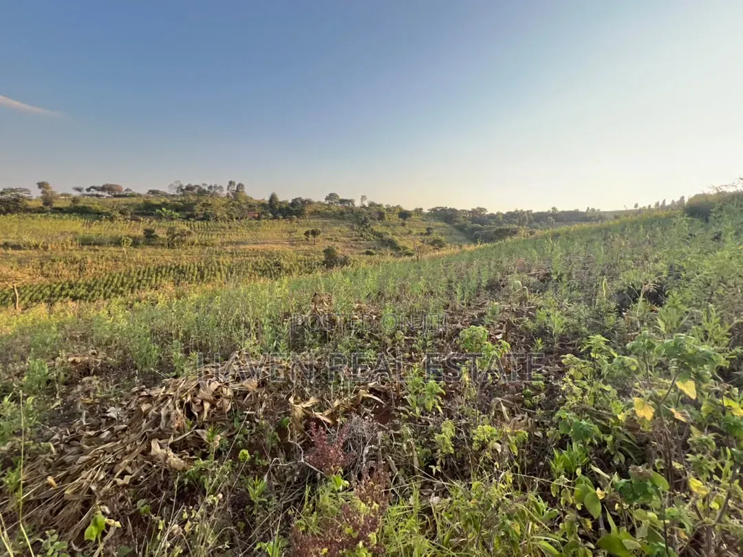 5 Acres With Lake Manyara Manyara Airport View for Sale in Karatu*