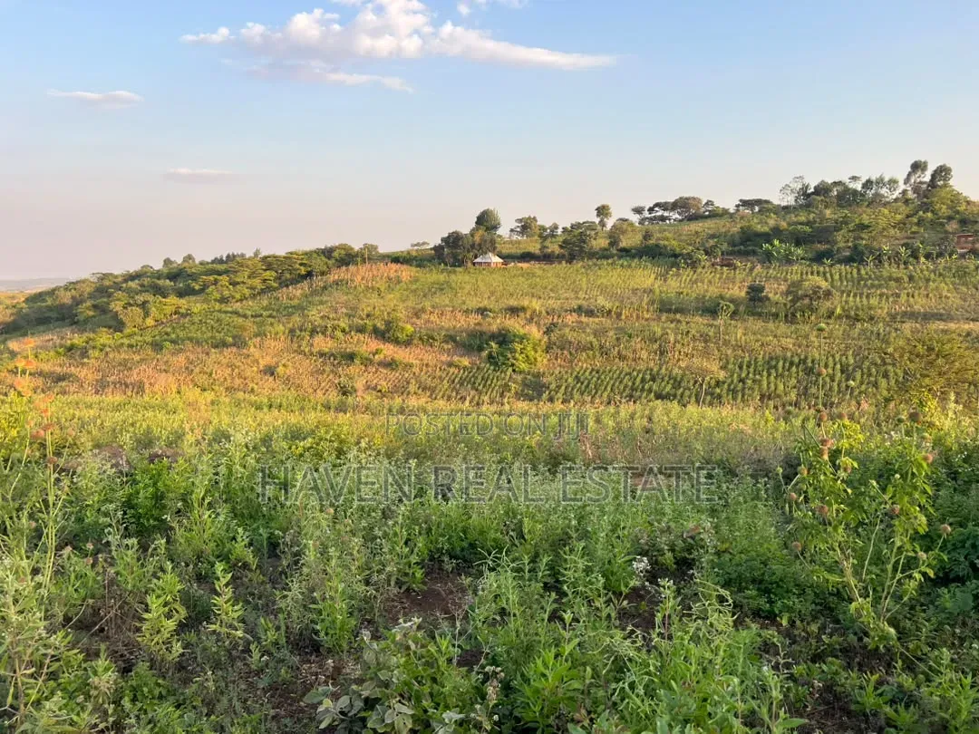 5 Acres With Lake Manyara Manyara Airport View for Sale in Karatu*