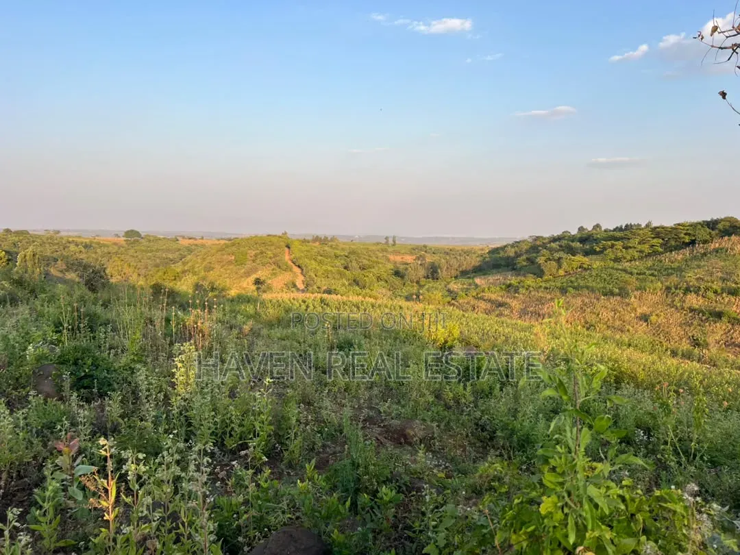 5 Acres With Lake Manyara Manyara Airport View for Sale in Karatu*