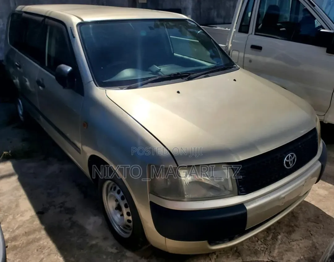 Toyota Probox 2004 Gold