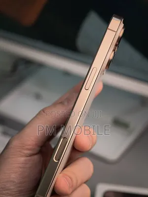 Apple iPhone 16 Pro Max 256 GB Gold