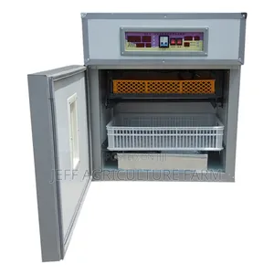 Mayai 120 Kwa 700,000