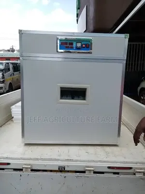 Mayai 120 Kwa 700,000