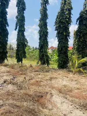 Plot for Sale Kibada Block6 Kigamboni