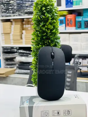 Wireless Mouse