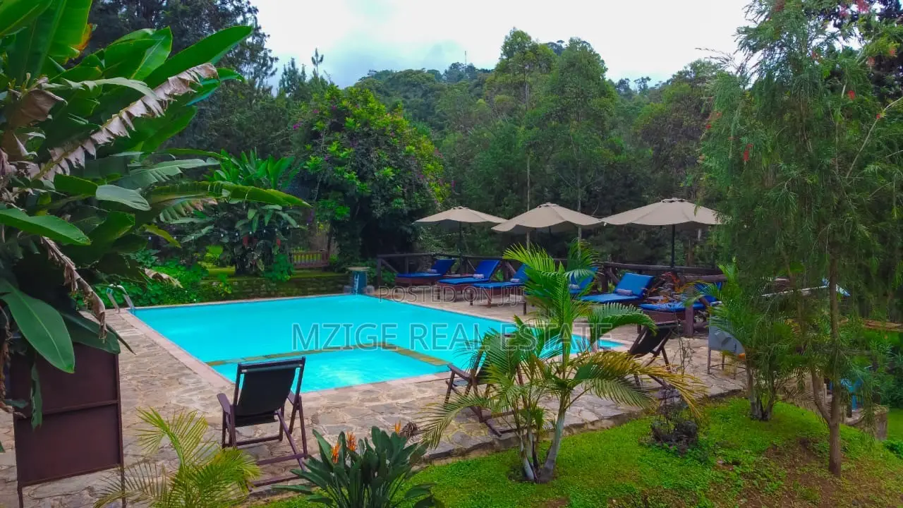 Fully Operational Hotel for Sale – Lushoto, Tanga