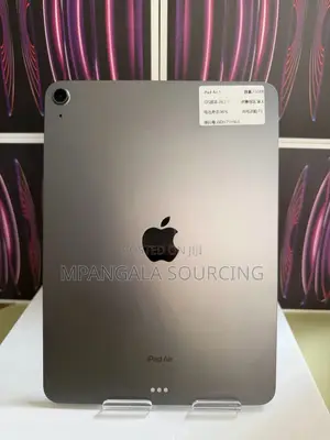 Apple iPad Air 256 GB Gray