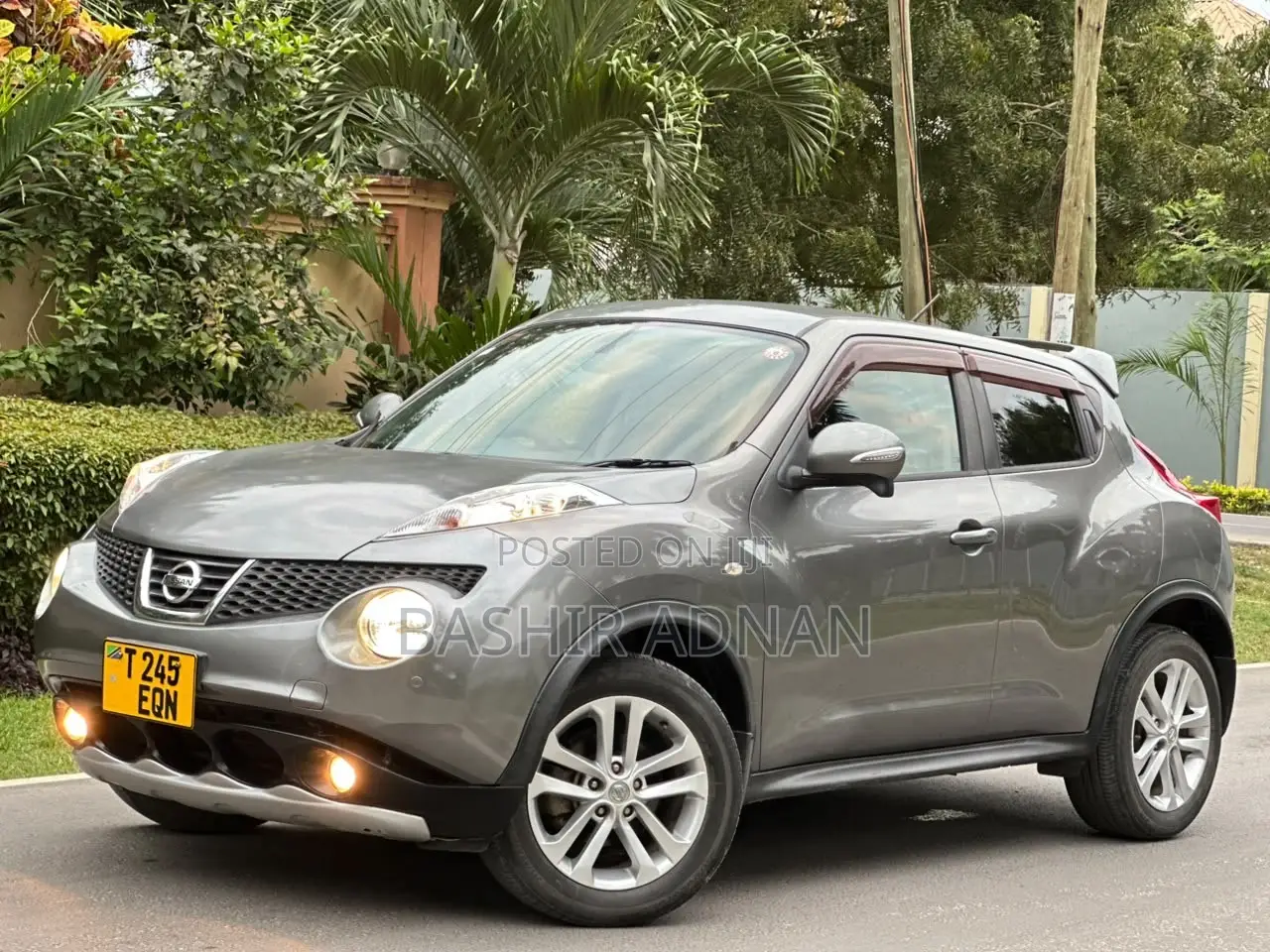 Nissan Juke 2012 Gray