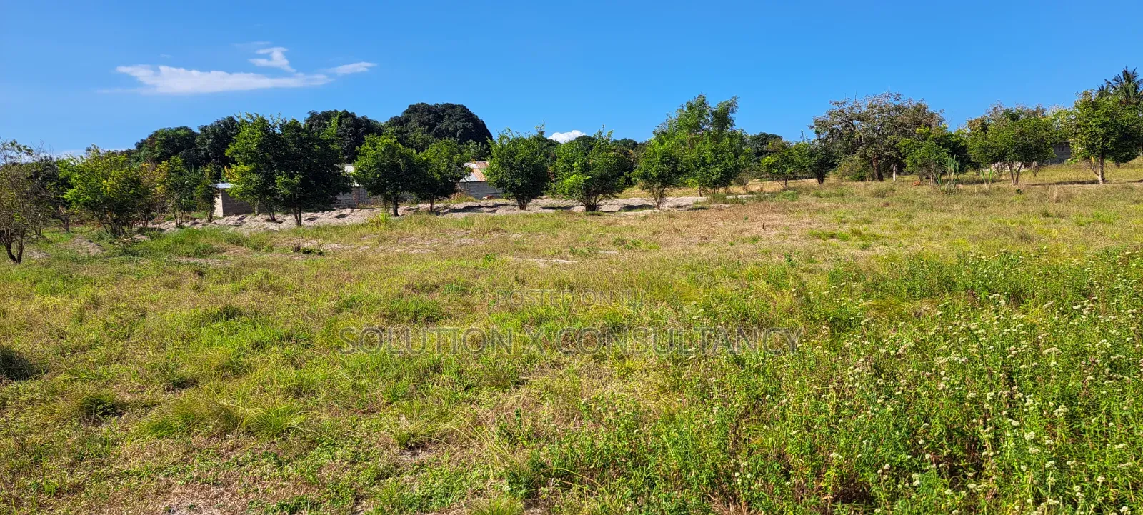 4 Acres for Sale at Kiromo Bagamoyo Pwani