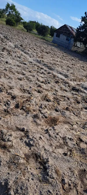 4 Acres for Sale at Kiromo Bagamoyo Pwani