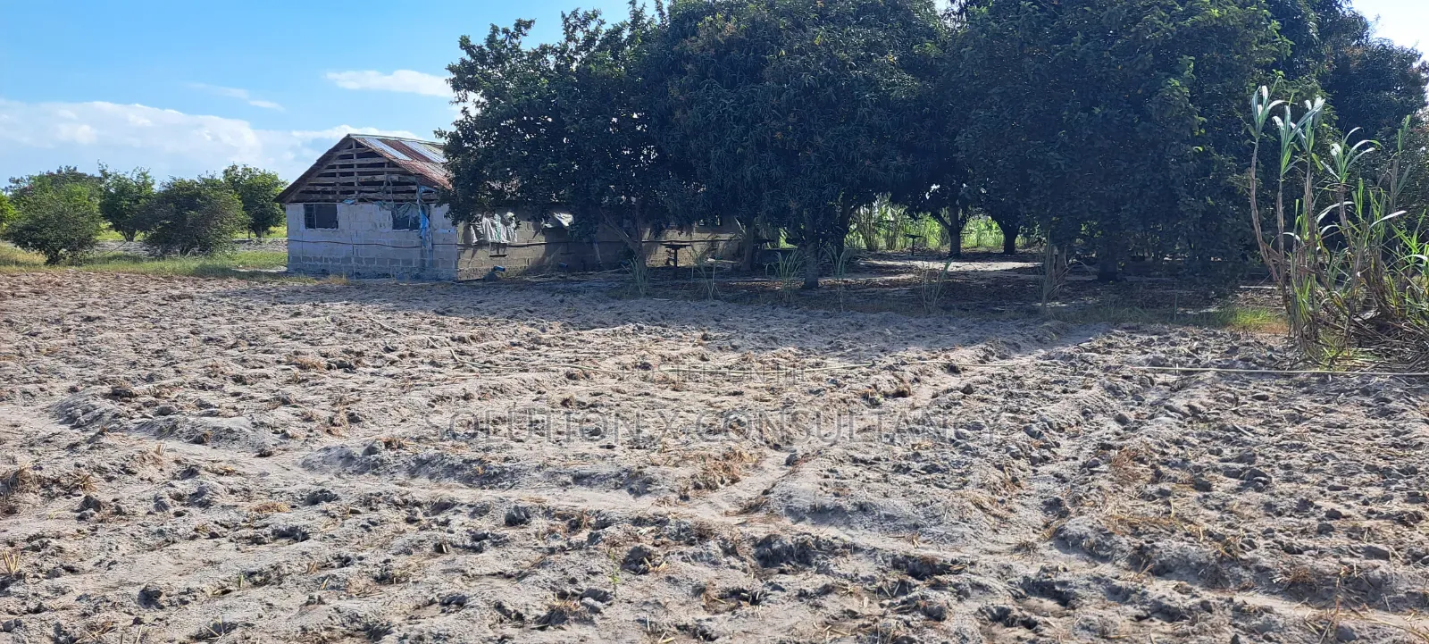 4 Acres for Sale at Kiromo Bagamoyo Pwani